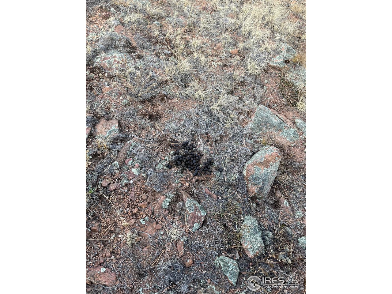 0 Slater Creek Road Guffey, CO 80820 - Photo 19 of 19