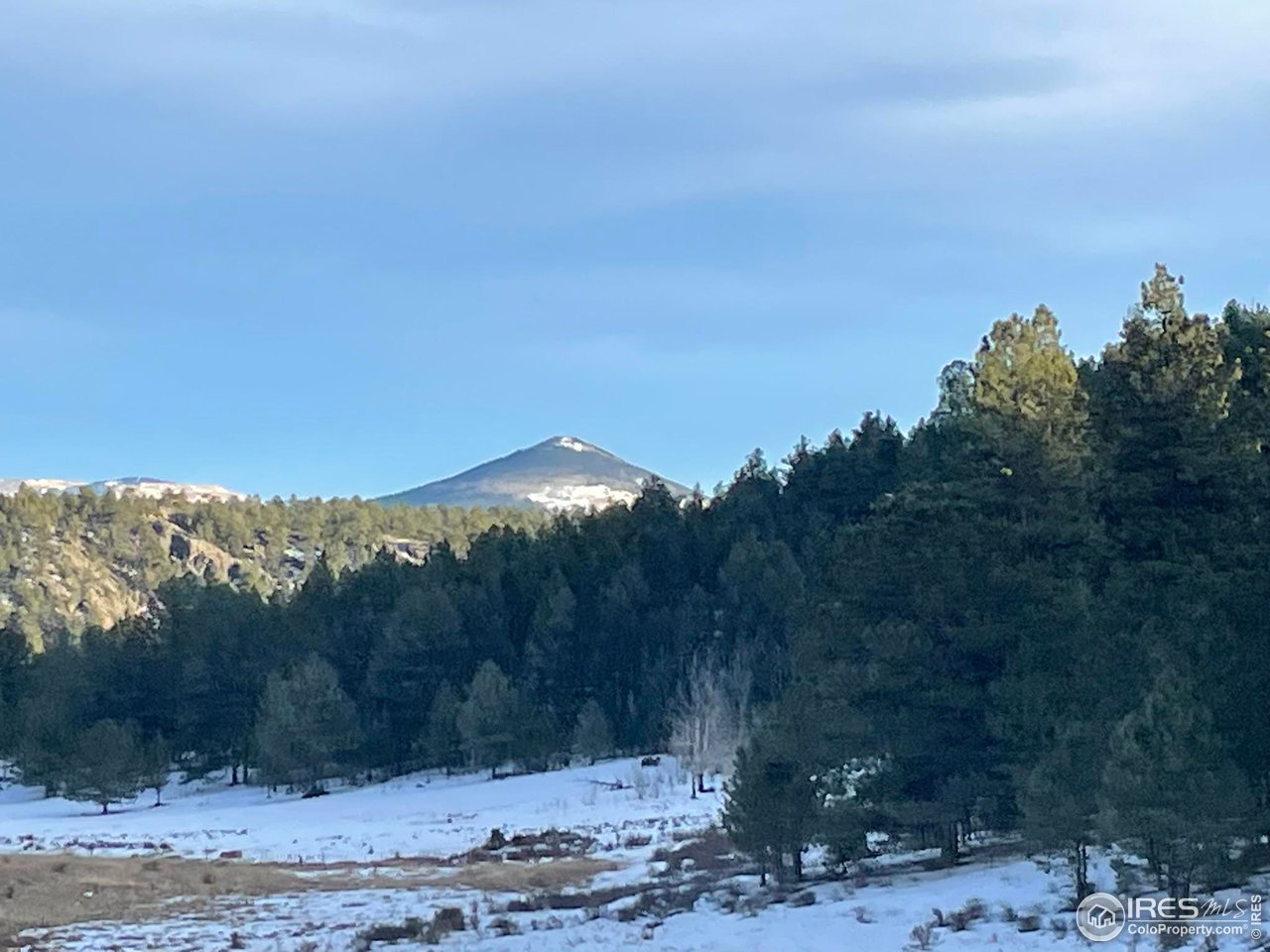 0 Slater Creek Road Guffey, CO 80820 - Photo 3 of 19 a view of a yard with a mountain