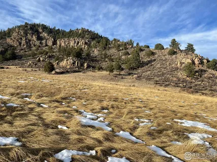 a view of outdoor space with trees
