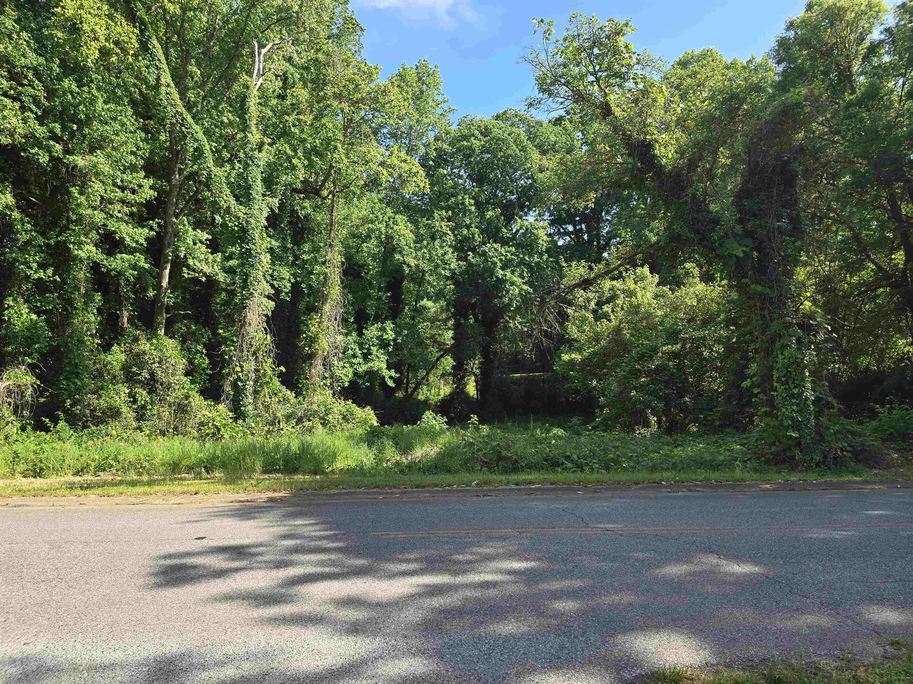 Lot 9 New Street Gaffney, SC 29340 - Photo 1 of 6