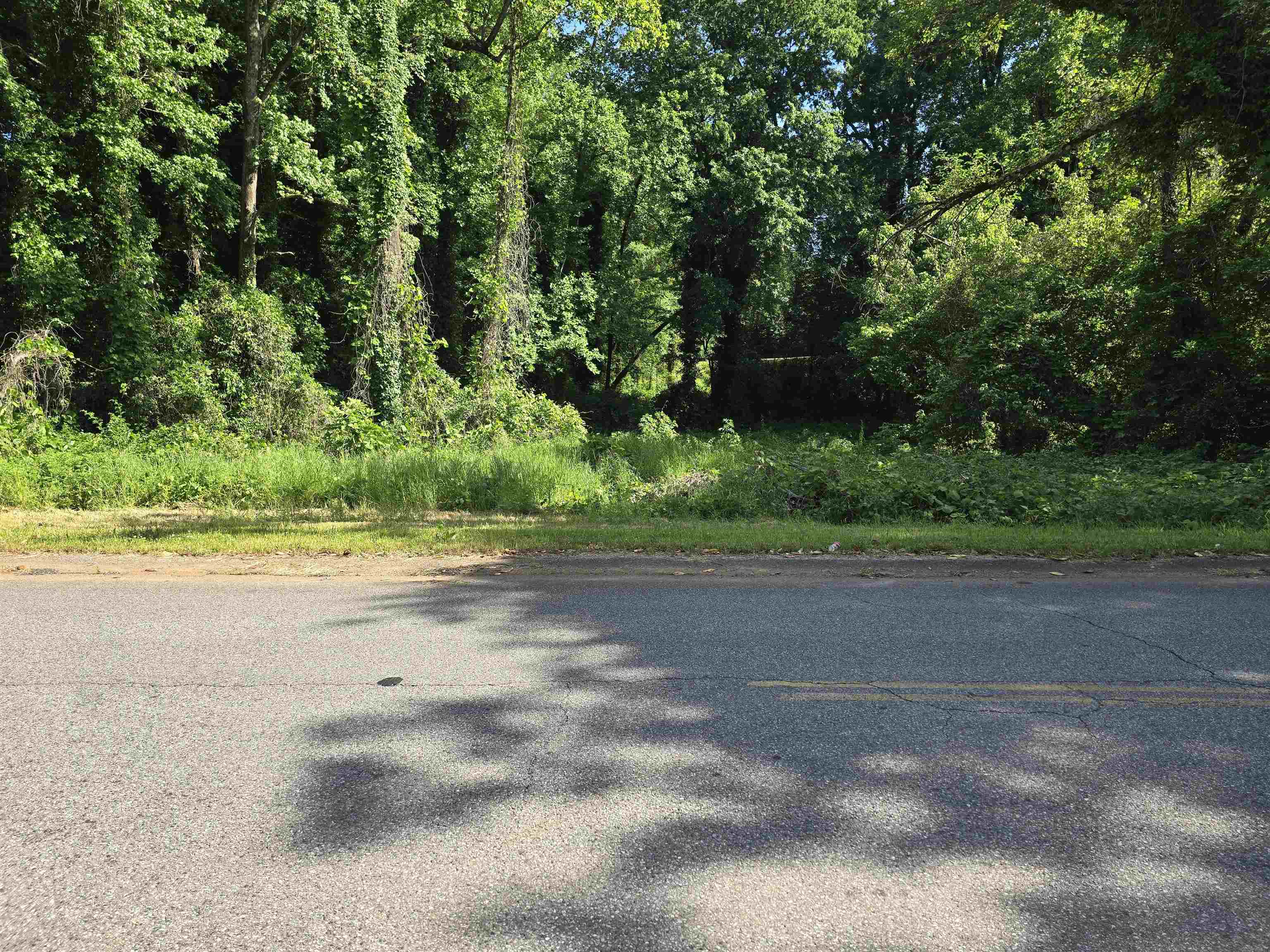 Lot 9 New Street Gaffney, SC 29340 - Photo 2 of 6