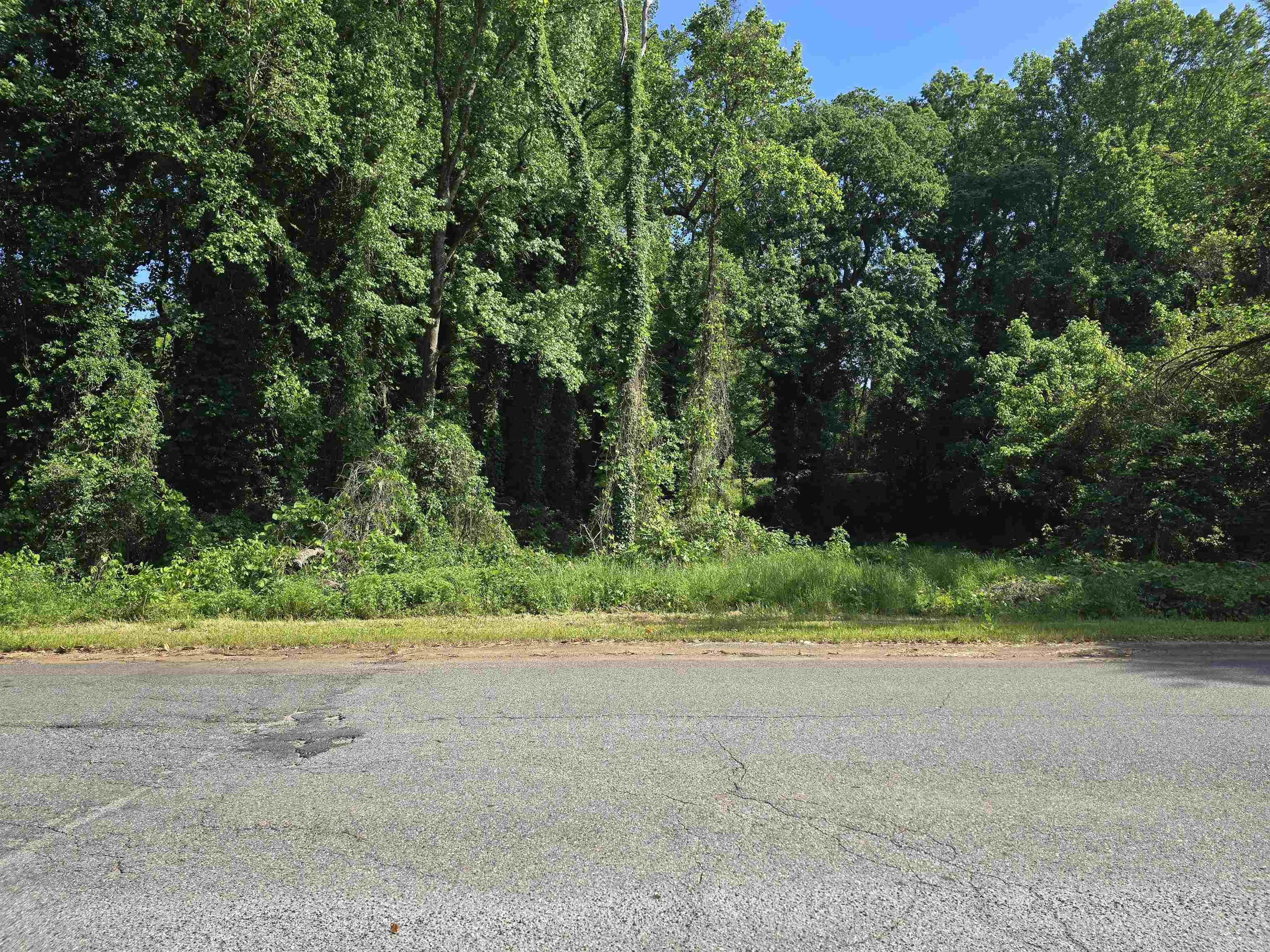 Lot 9 New Street Gaffney, SC 29340 - Photo 3 of 6