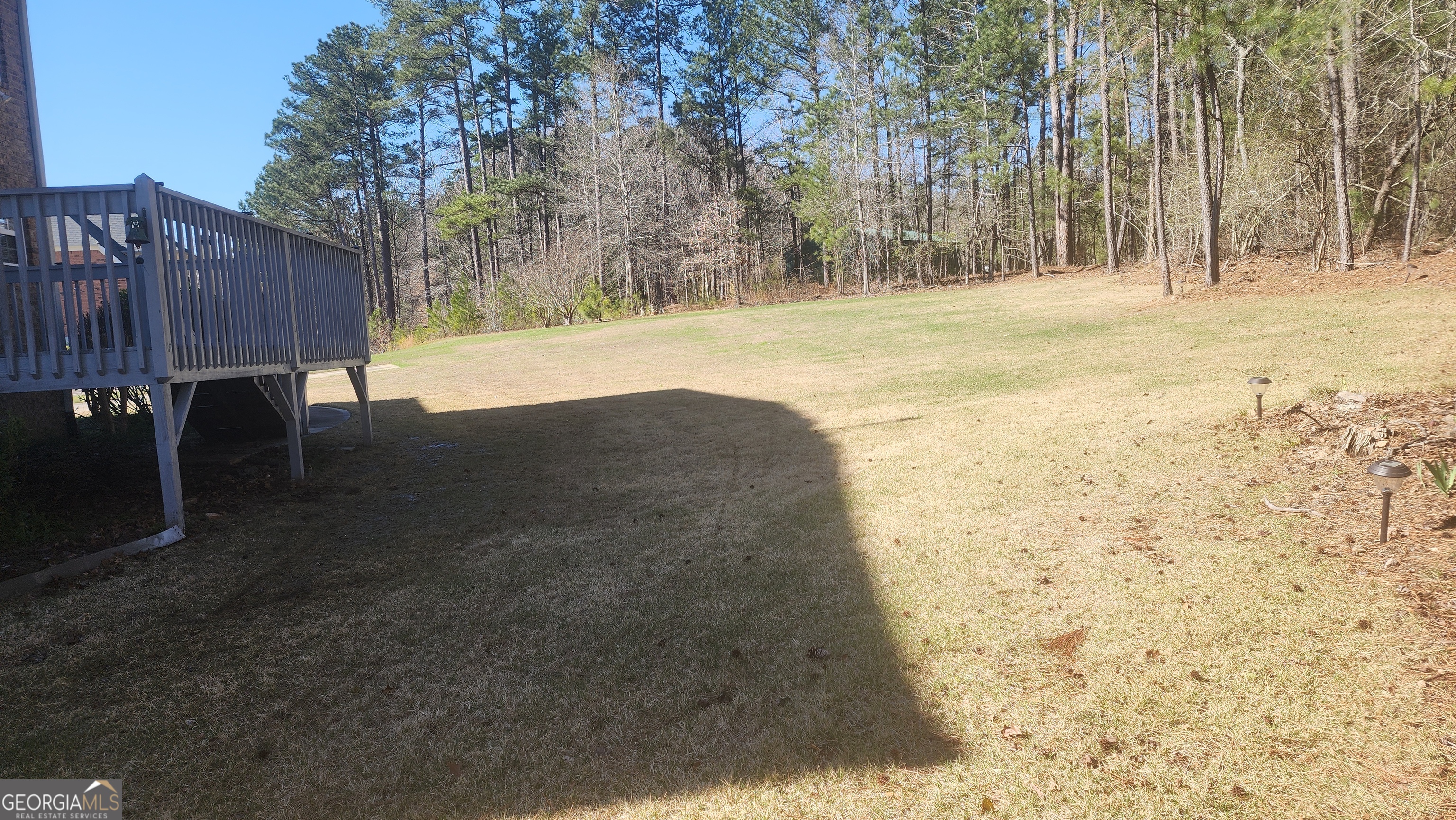 12123 Edgewater Drive Hampton, GA 30228 - Photo 41 of 44 a view of back yard of the house