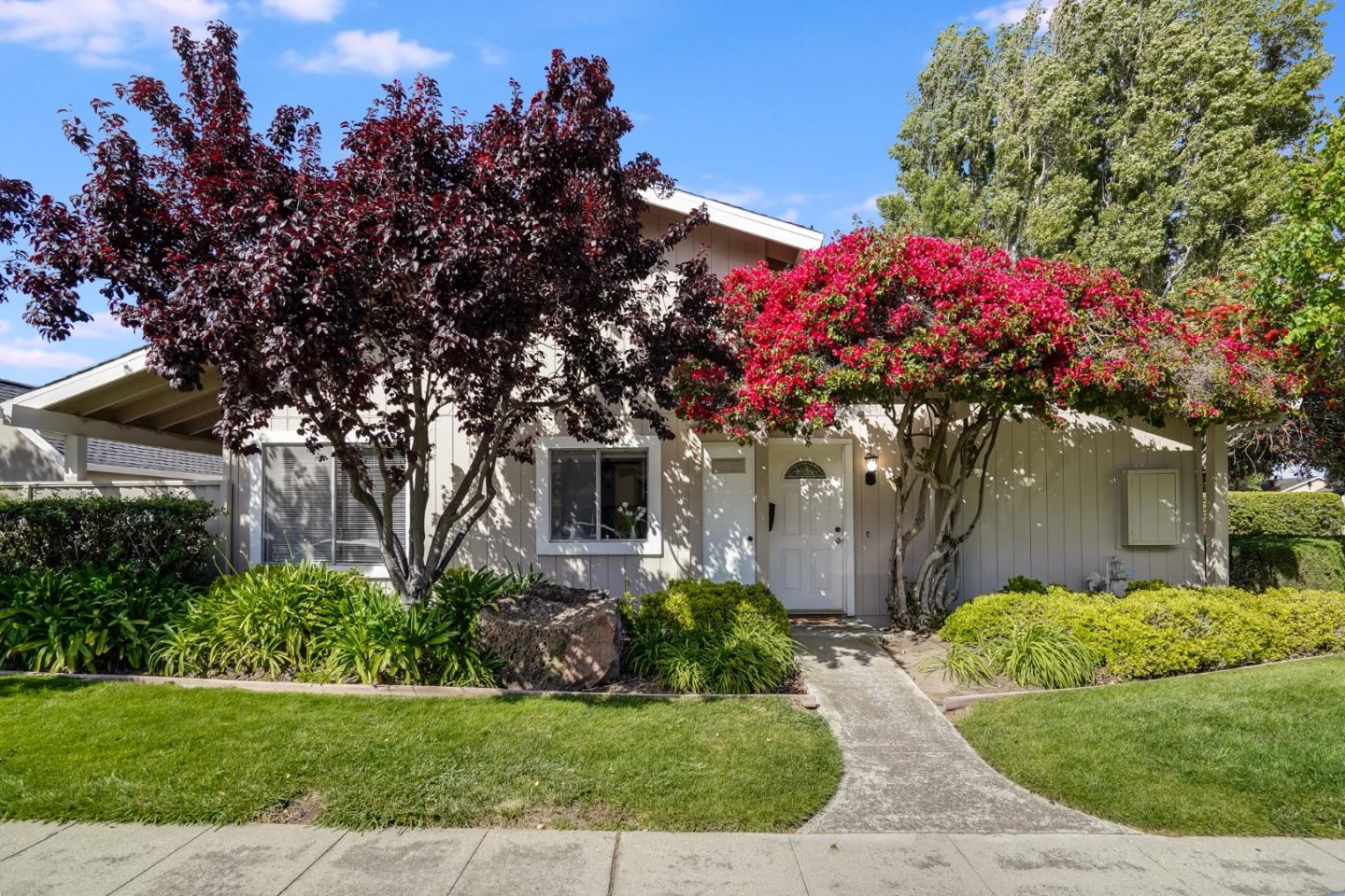 a front view of a house with a yard and potted plants