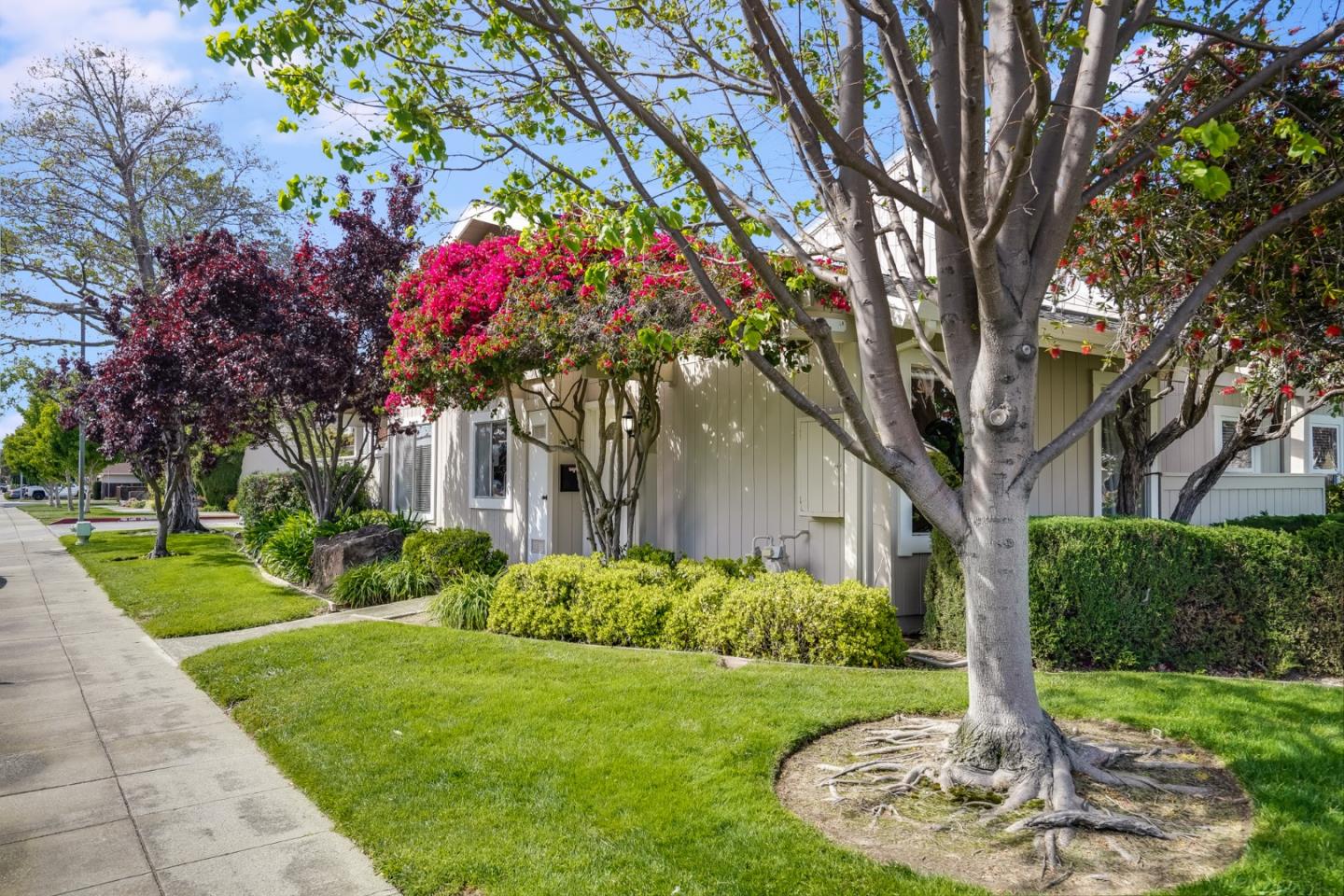 713 Comet Drive Foster City, CA 94404 - Photo 2 of 26 a front view of a house with garden