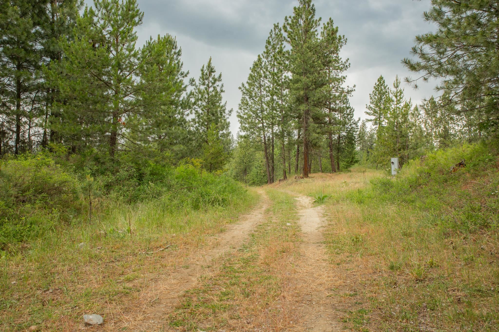 4110 Cemetery Tract Ab Road Springdale, WA 99173 - Photo 5 of 22