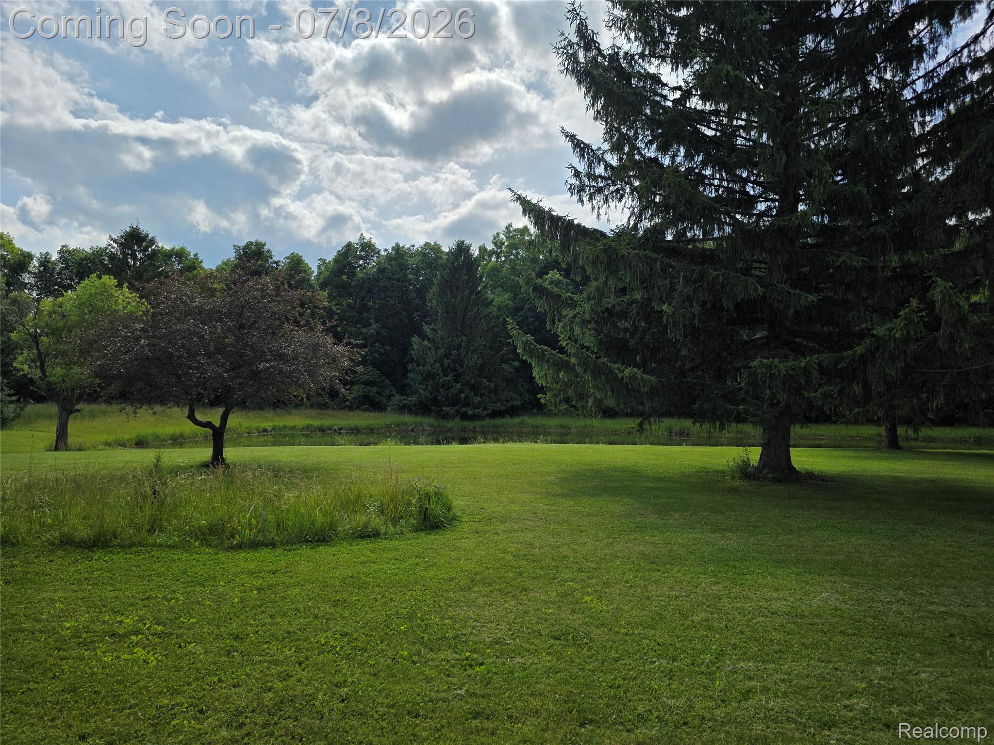3581 North Burkhart Road Howell, MI 48855 - Photo 8 of 15 Expansive green lawn with mature trees and a natural pond in the background