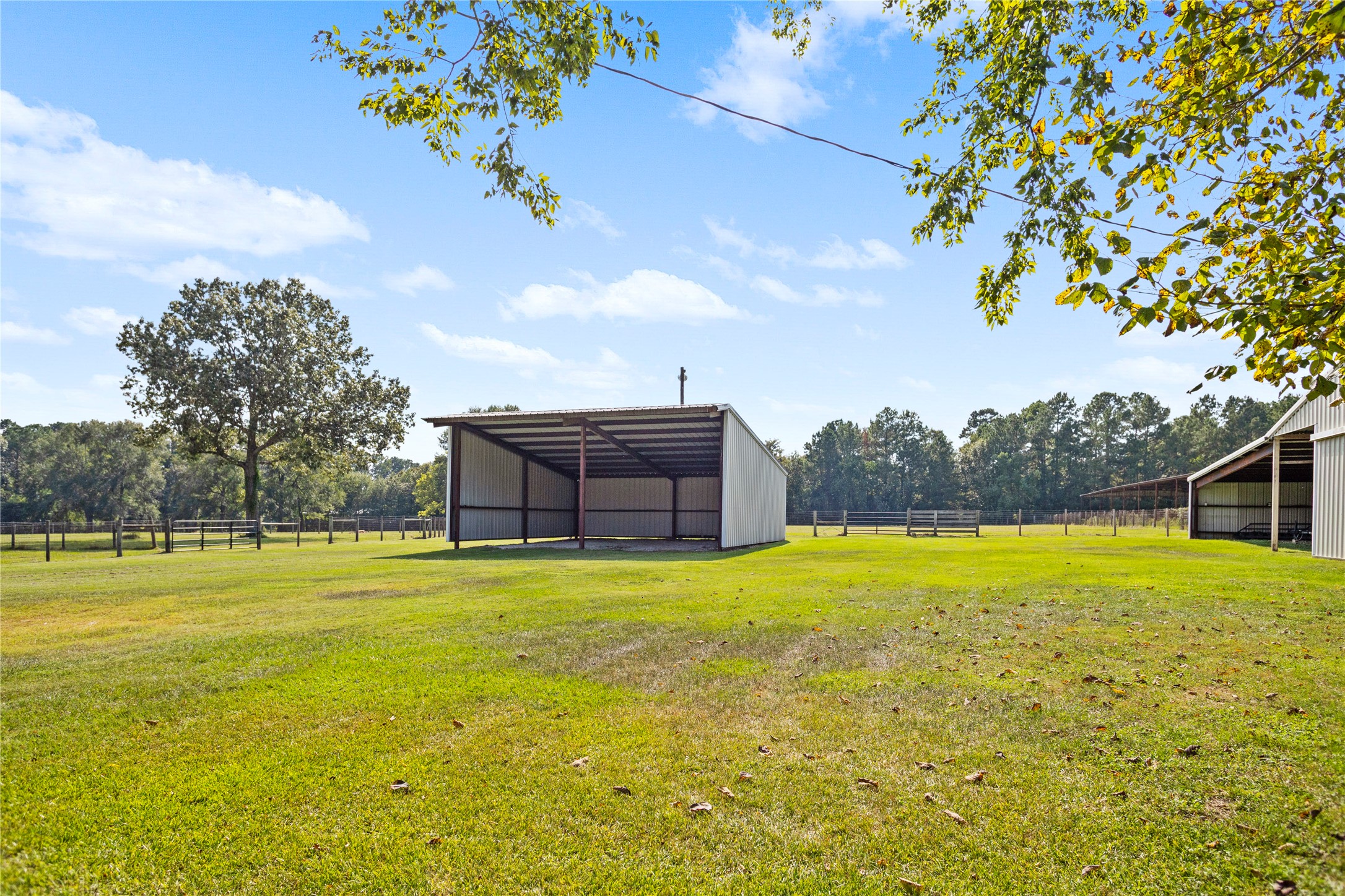 7875 Willys Road New Waverly, TX 77358 - Photo 39 of 45 a house with a garden