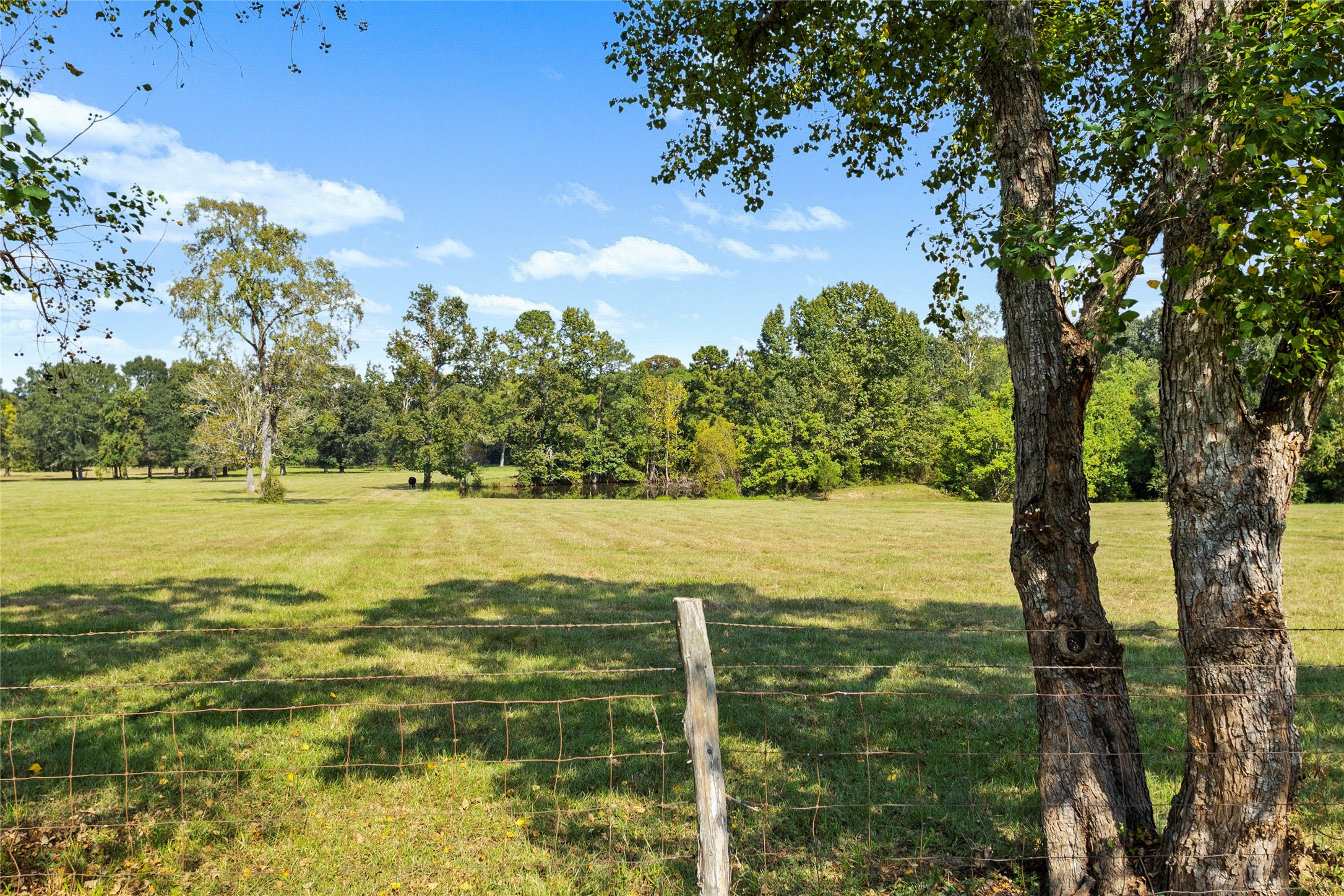 7875 Willys Road New Waverly, TX 77358 - Photo 43 of 45