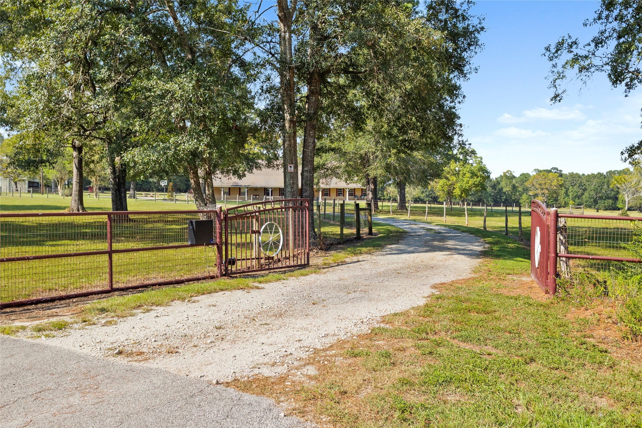 7875 Willys Road New Waverly, TX 77358 - Photo 44 of 45 a view of a park with large trees