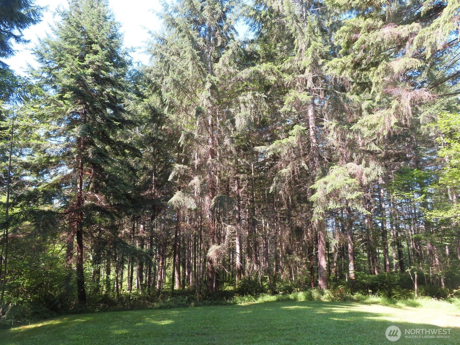 419 Meskill Road Chehalis, WA 98532 - Photo 30 of 40 Gallery Image 30