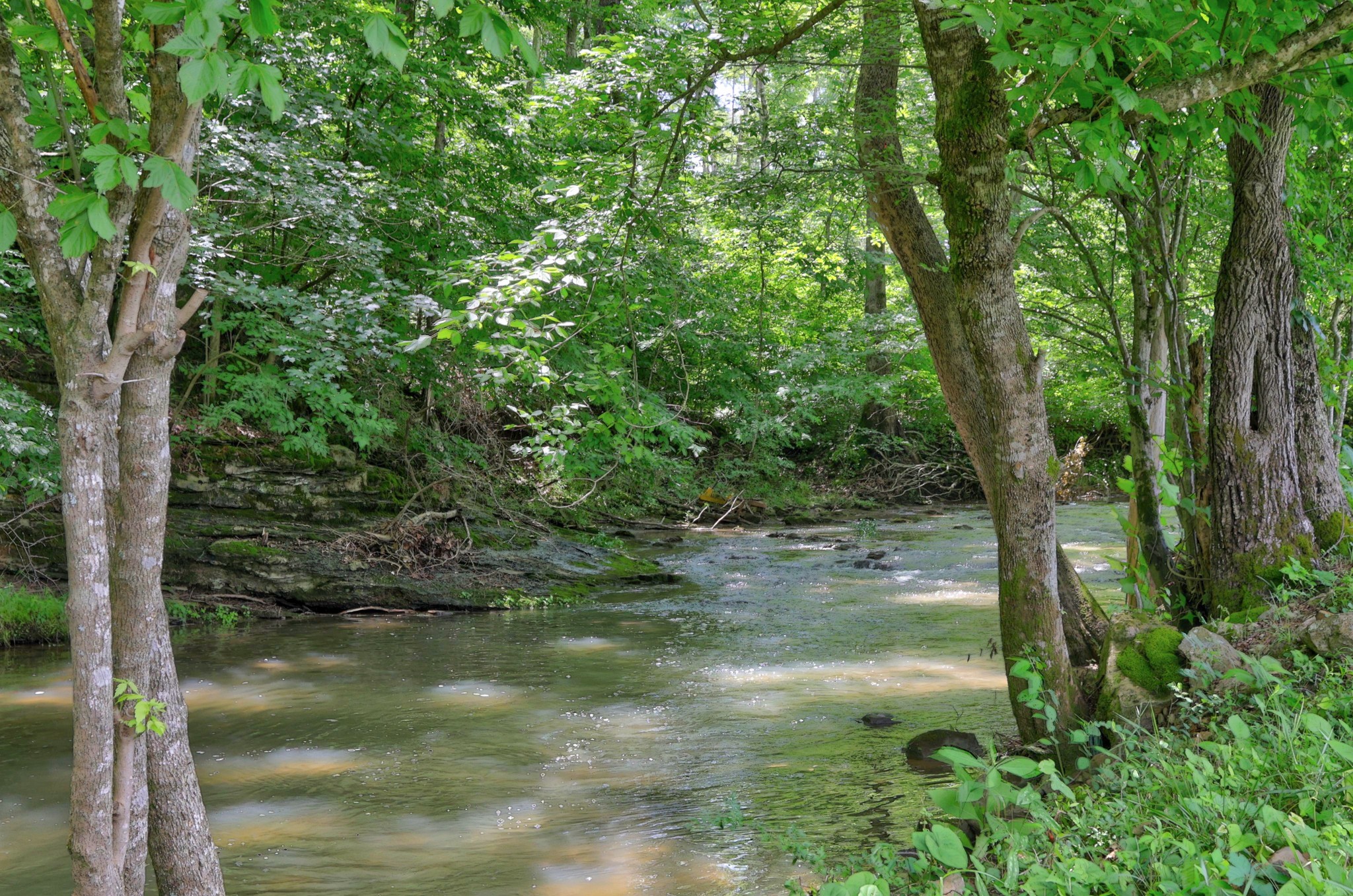 1213 Rock Church Road Dickson, TN 37055 - Photo 63 of 72