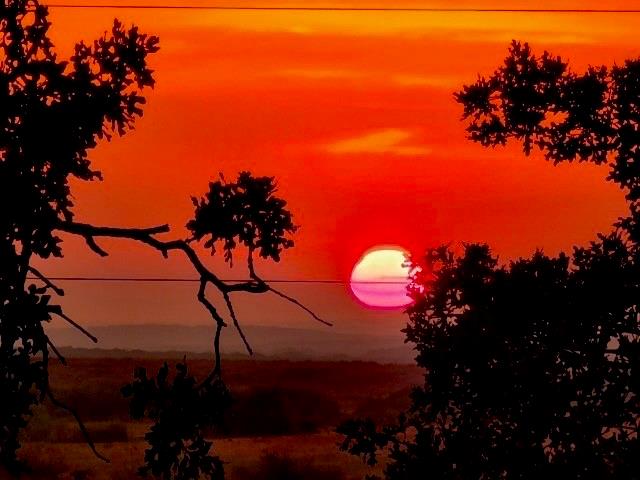 a view of a backyard of a house with a fire pit