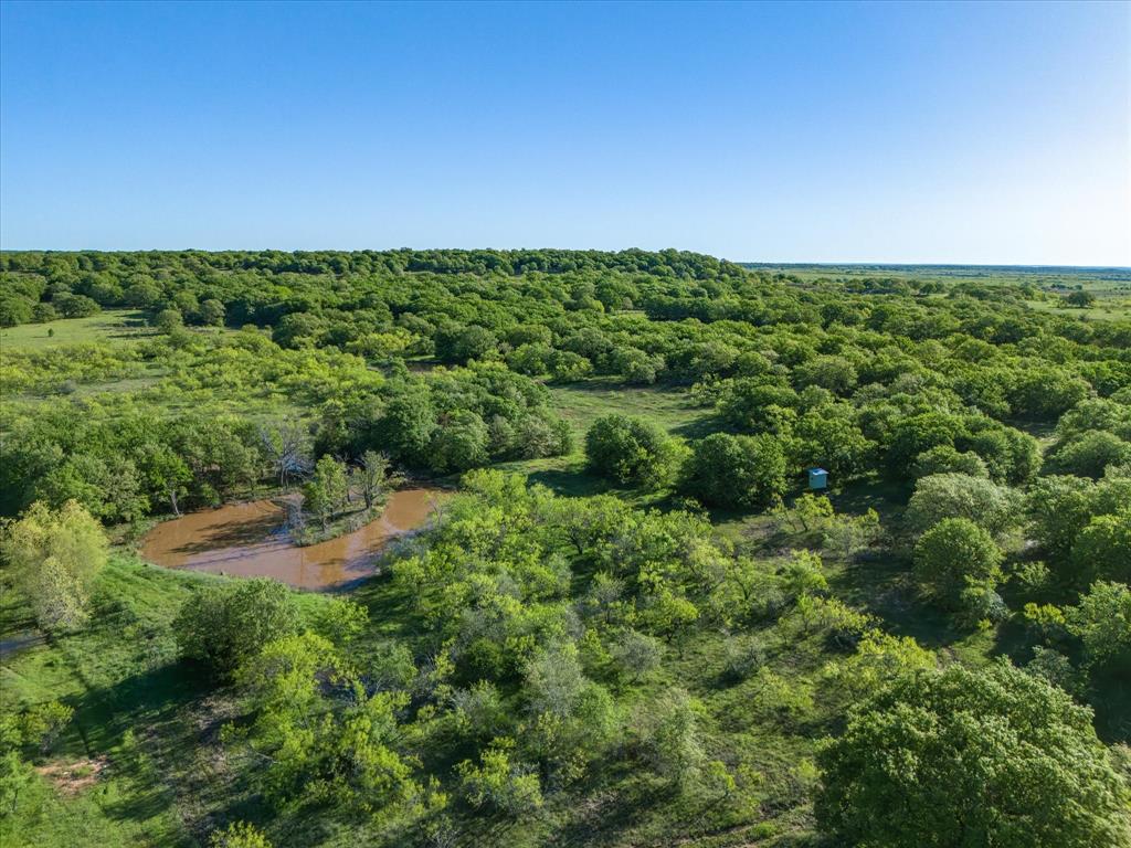 3760 Dewebber Road Bowie, TX 76230 - Photo 14 of 35 a view of a green field with lots of bushes