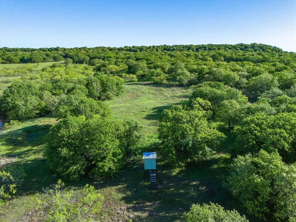 3760 Dewebber Road Bowie, TX 76230 - Photo 16 of 35 a view of a lush green outdoor space with a lake view