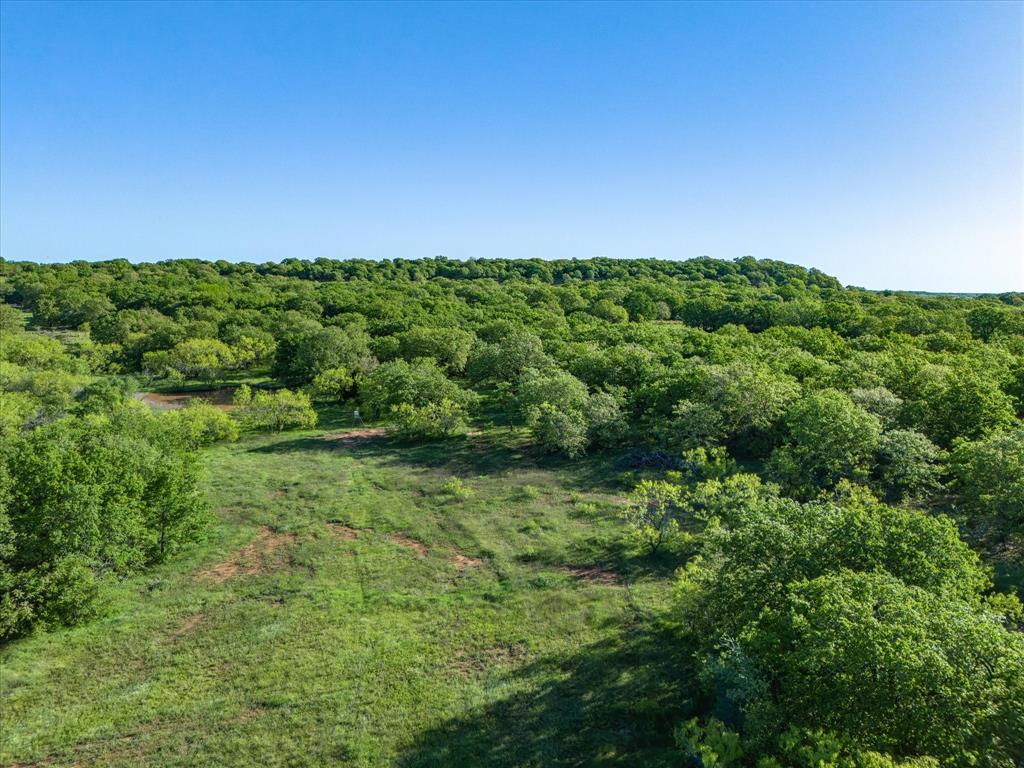 3760 Dewebber Road Bowie, TX 76230 - Photo 17 of 35 a view of a big yard with large trees