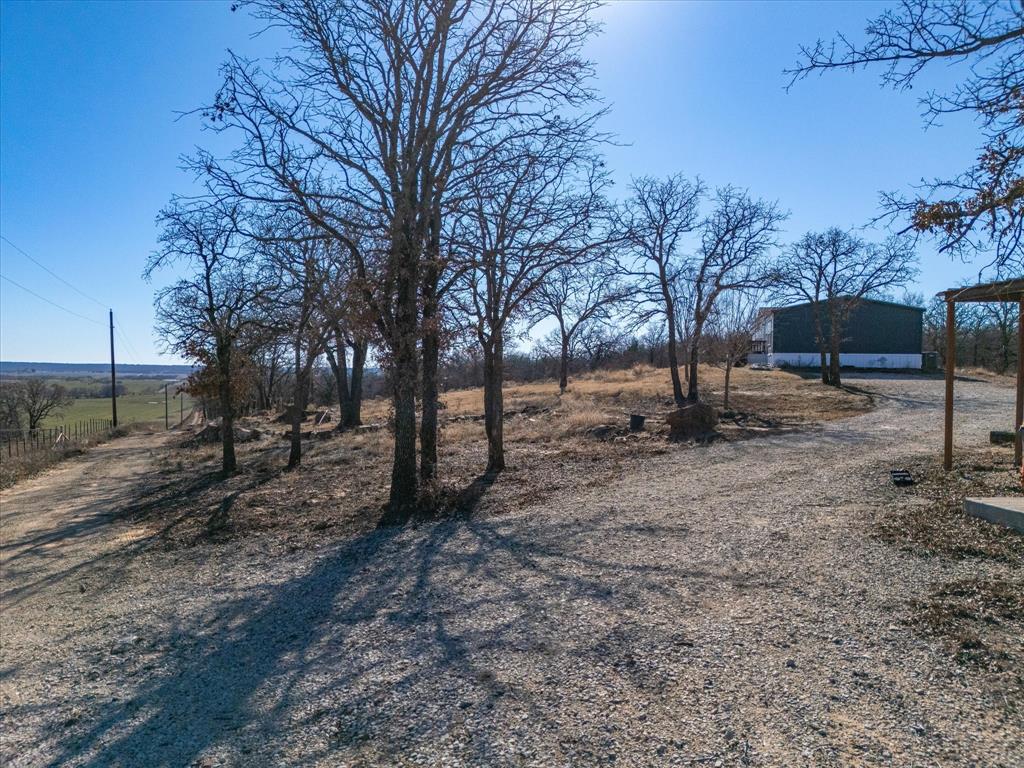 3760 Dewebber Road Bowie, TX 76230 - Photo 31 of 35 a view of a yard with a tree