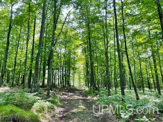 T-wi Birch Hill Road Amberg, WI 54102 - Photo 21 of 21