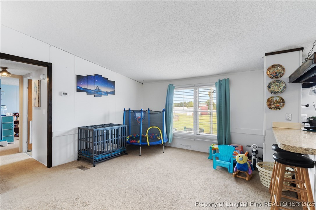 3376 Wade-Stedman Road Wade, NC 28395 - Photo 13 of 35 a view of game room with window and couch