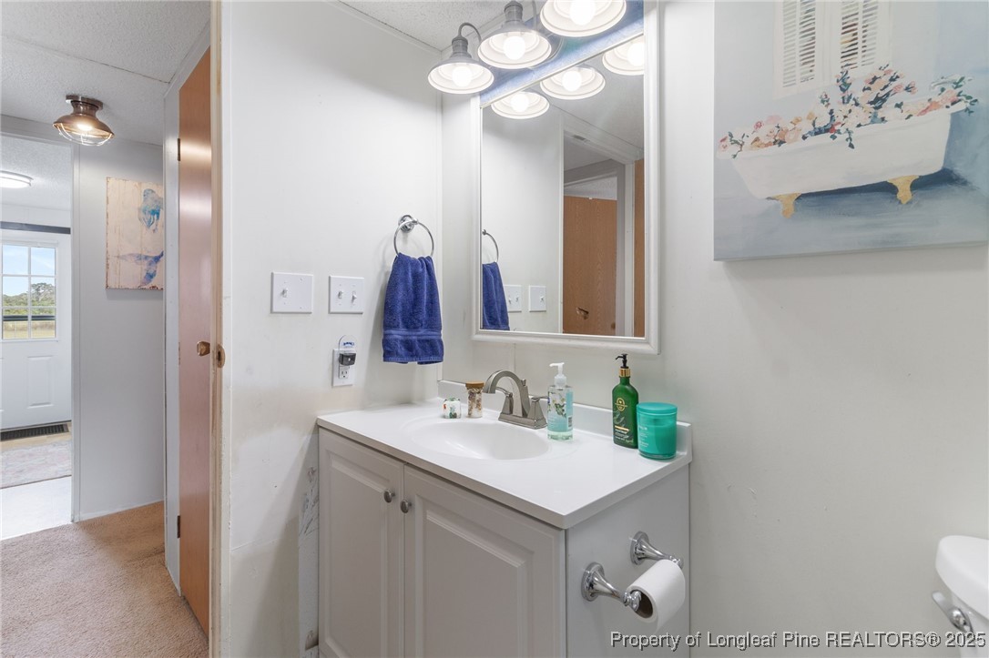 3376 Wade-Stedman Road Wade, NC 28395 - Photo 22 of 35 a bathroom with a sink a toilet and a mirror