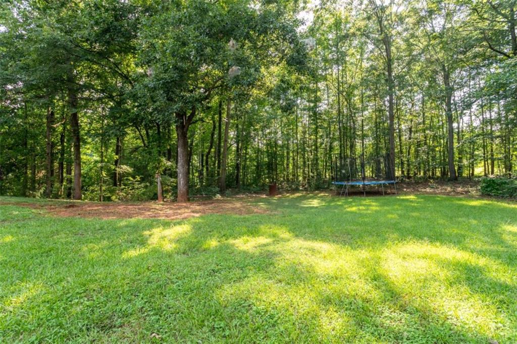1537 Cardinal Lane Winder, GA 30680 - Photo 6 of 29