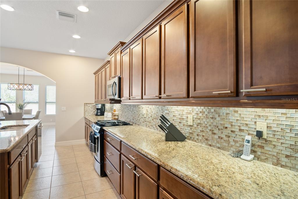 389 Silver Maple Road Groveland, FL 34736 - Photo 13 of 66