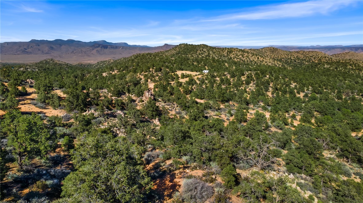313-87-005 North Trap Spgs Road Hackberry, AZ 86411 - Photo 20 of 21