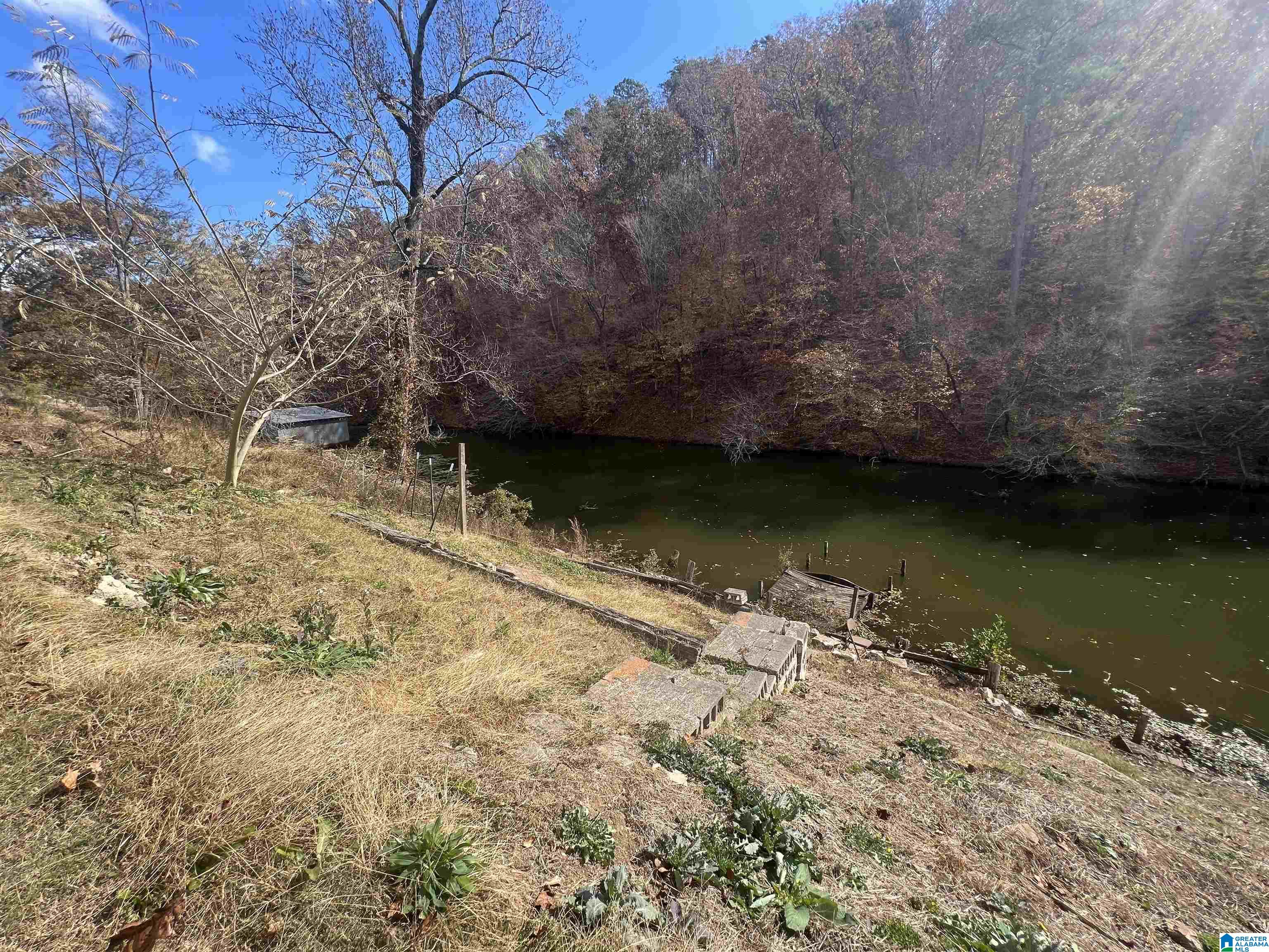 575 Rainwood Lodge Road Quinton, AL 35130 - Photo 6 of 15