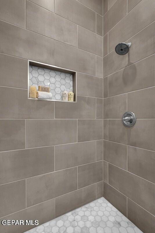 6923 Levee Circle Anthony, NM 88021 - Photo 35 of 44 a bathroom with a shower