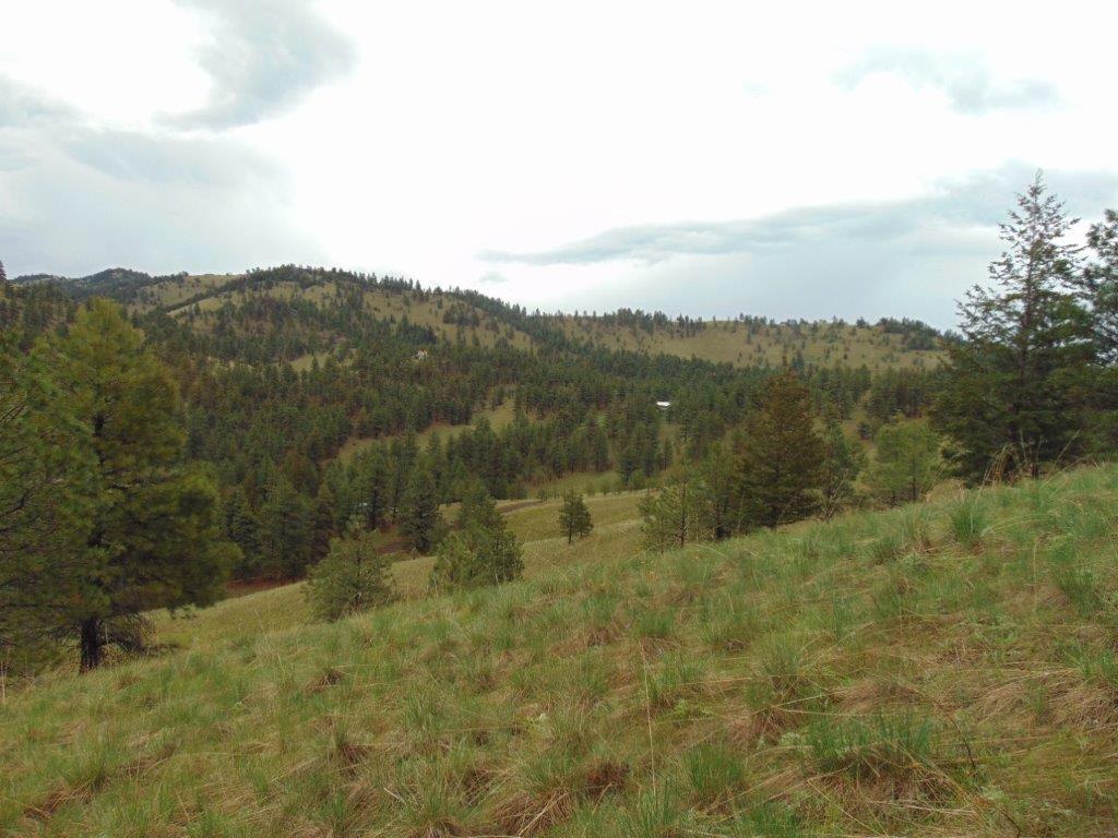 Tbd Shady Spring Lane Cascade, MT 59421 - Photo 28 of 78 Gallery Image 28