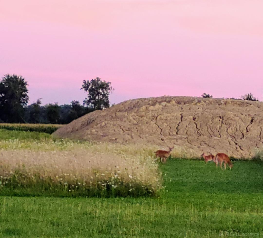 2600 Hyde Road Carsonville, MI 48419 - Photo 18 of 19 Gallery Image 18