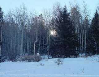 342 Graham Road Edwards, CO 81632 - Photo 1 of 1 Primary Photo