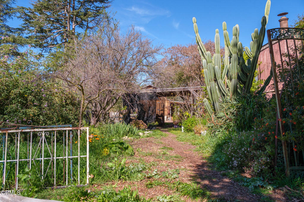 8624 Nye Road Ventura, CA 93001 - Photo 4 of 39 a view of a backyard