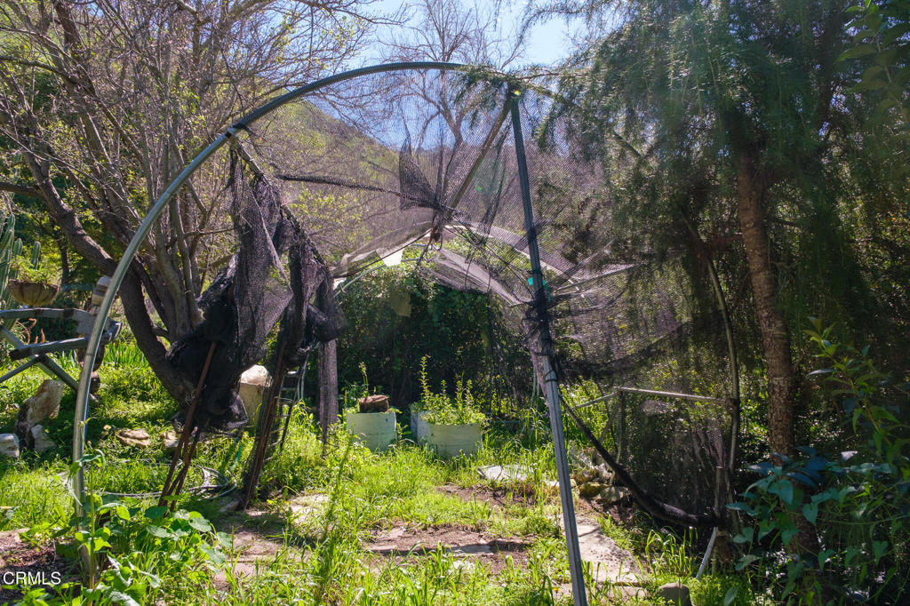 8624 Nye Road Ventura, CA 93001 - Photo 6 of 39 a backyard of a house with lots of green space