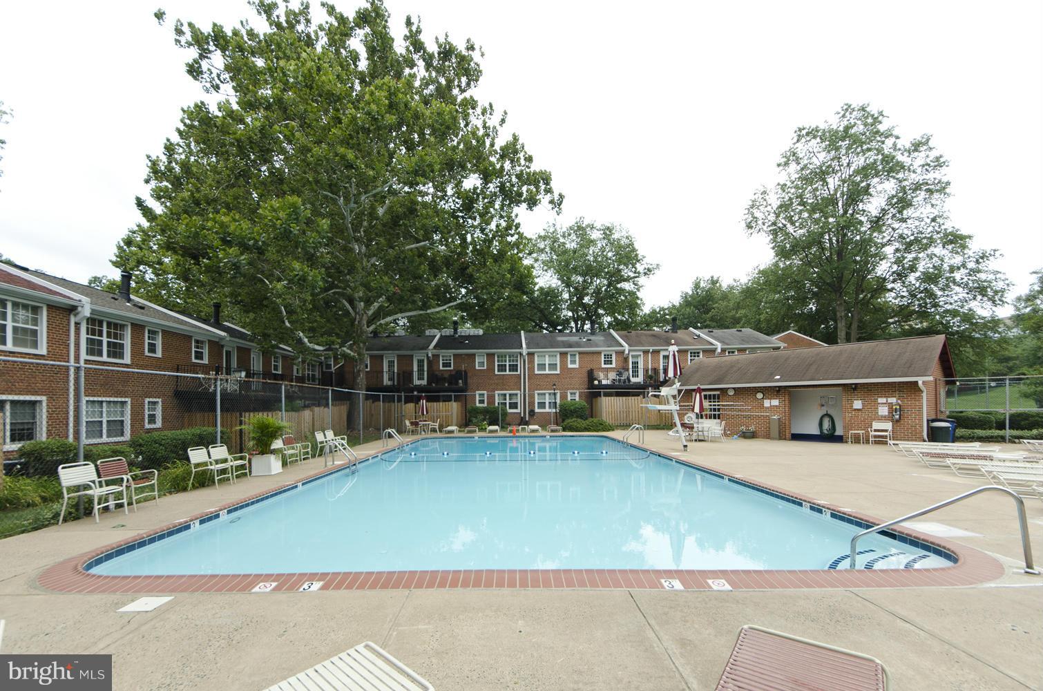 4647 28th Road South, Unit B Arlington, VA 22206 - Photo 16 of 20 a view of a swimming pool with lawn chairs and plants