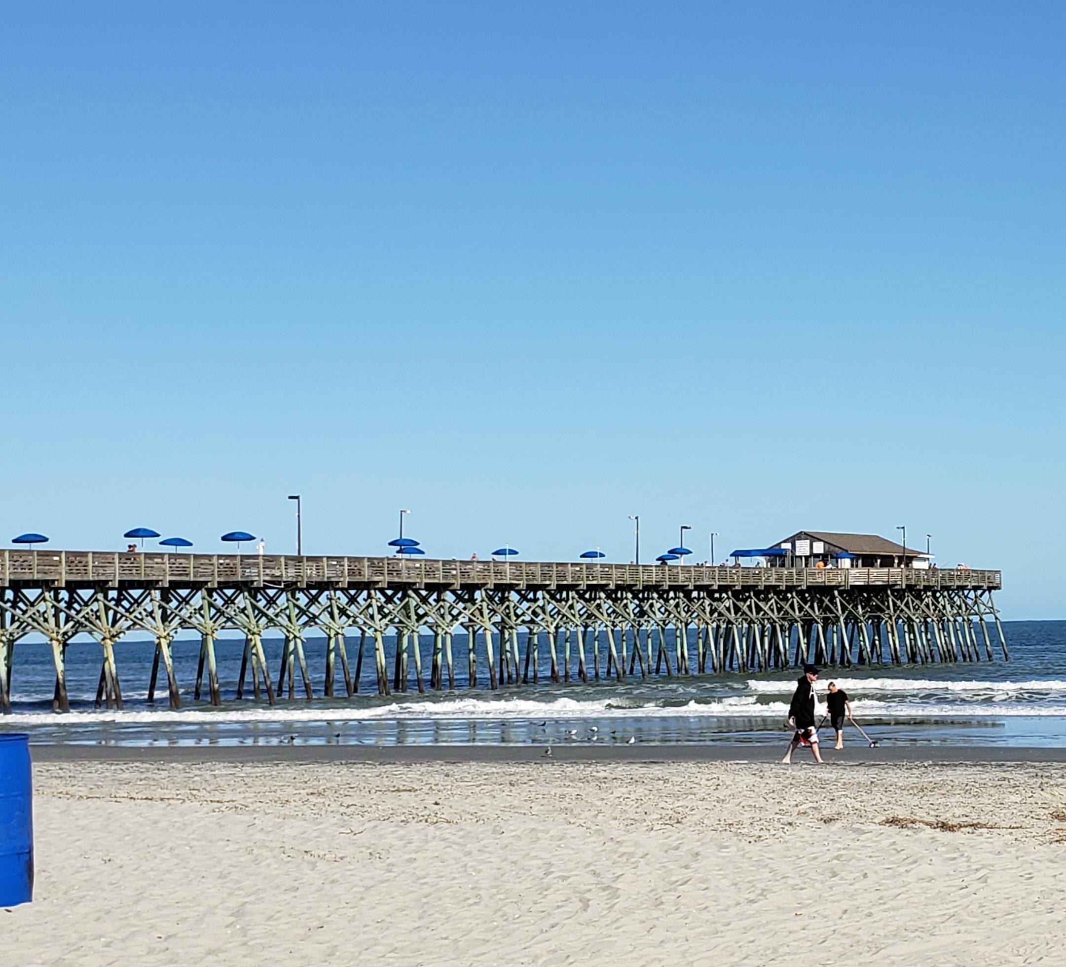 122 Caroline Court Murrells Inlet, SC 29576 - Photo 45 of 48