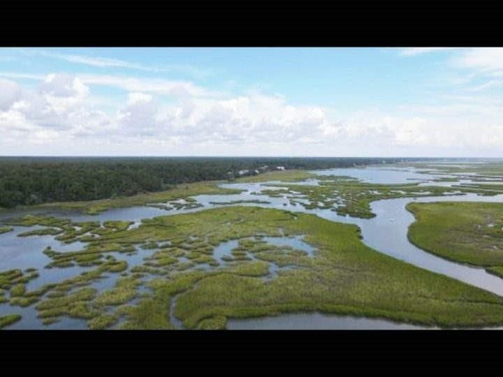 122 Caroline Court Murrells Inlet, SC 29576 - Photo 47 of 48