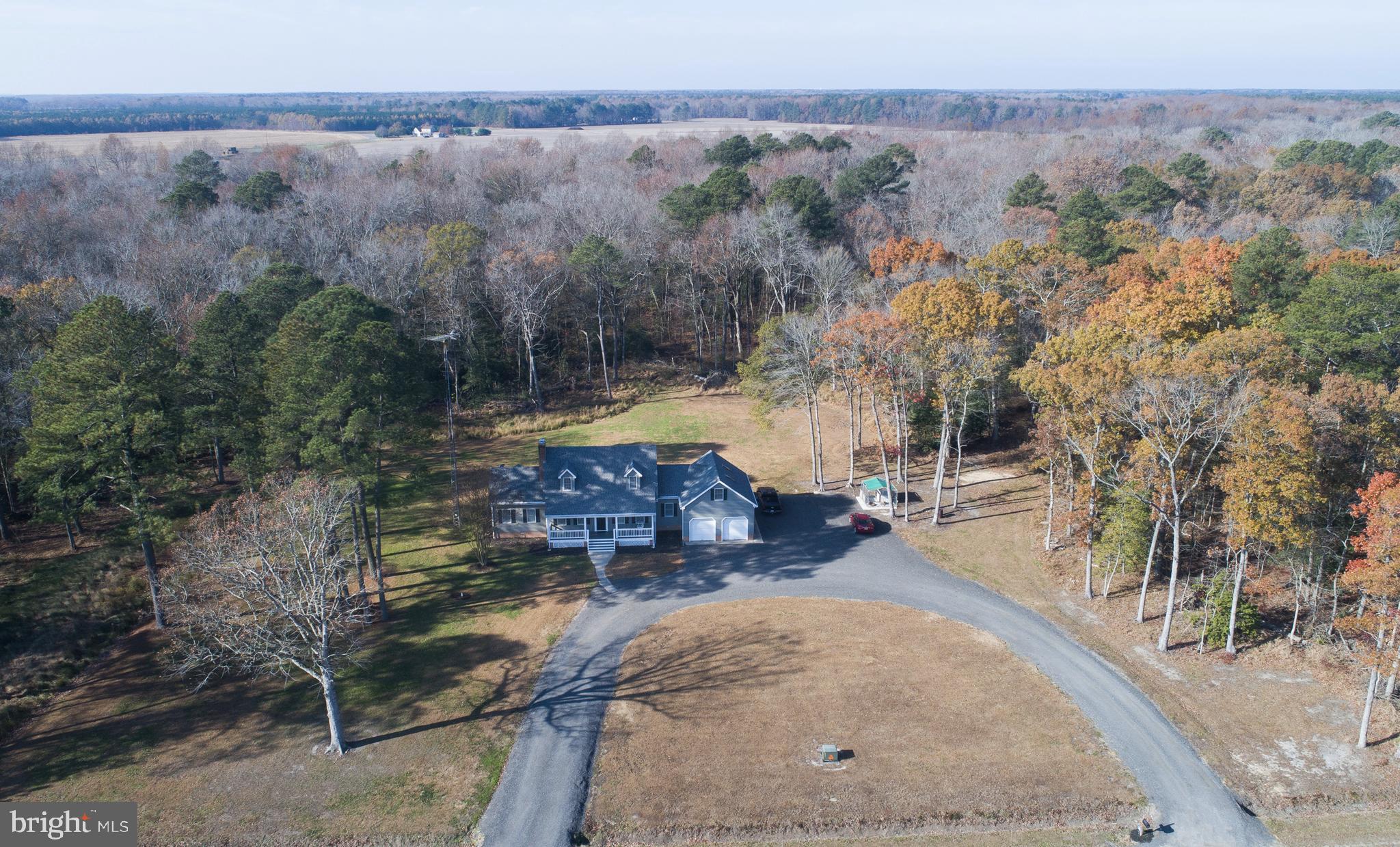 5206 Johnson Road Rhodesdale, MD 21659 - Photo 3 of 91 Gallery Image 3