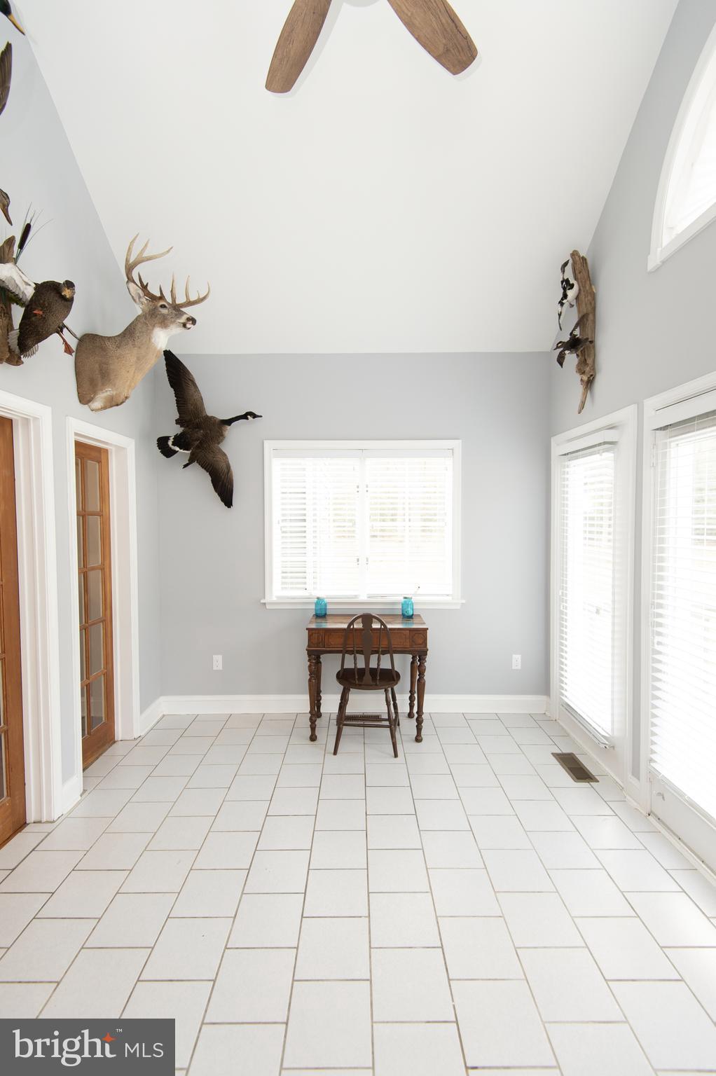 5206 Johnson Road Rhodesdale, MD 21659 - Photo 26 of 91 Gallery Image 26