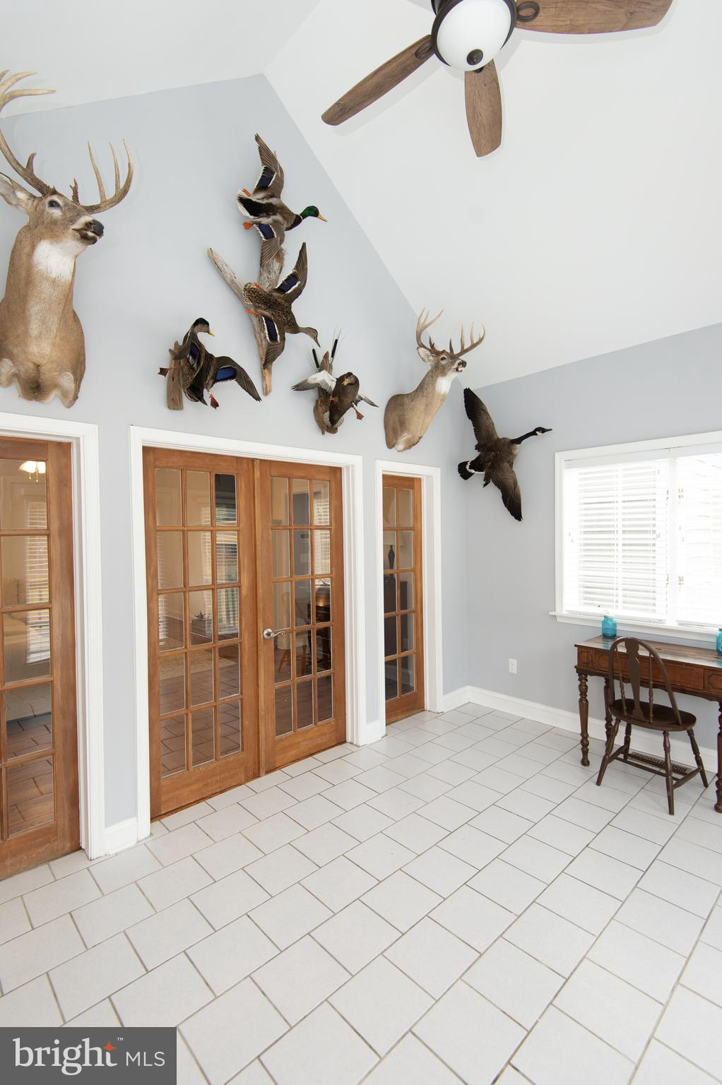 5206 Johnson Road Rhodesdale, MD 21659 - Photo 27 of 91 Gallery Image 27