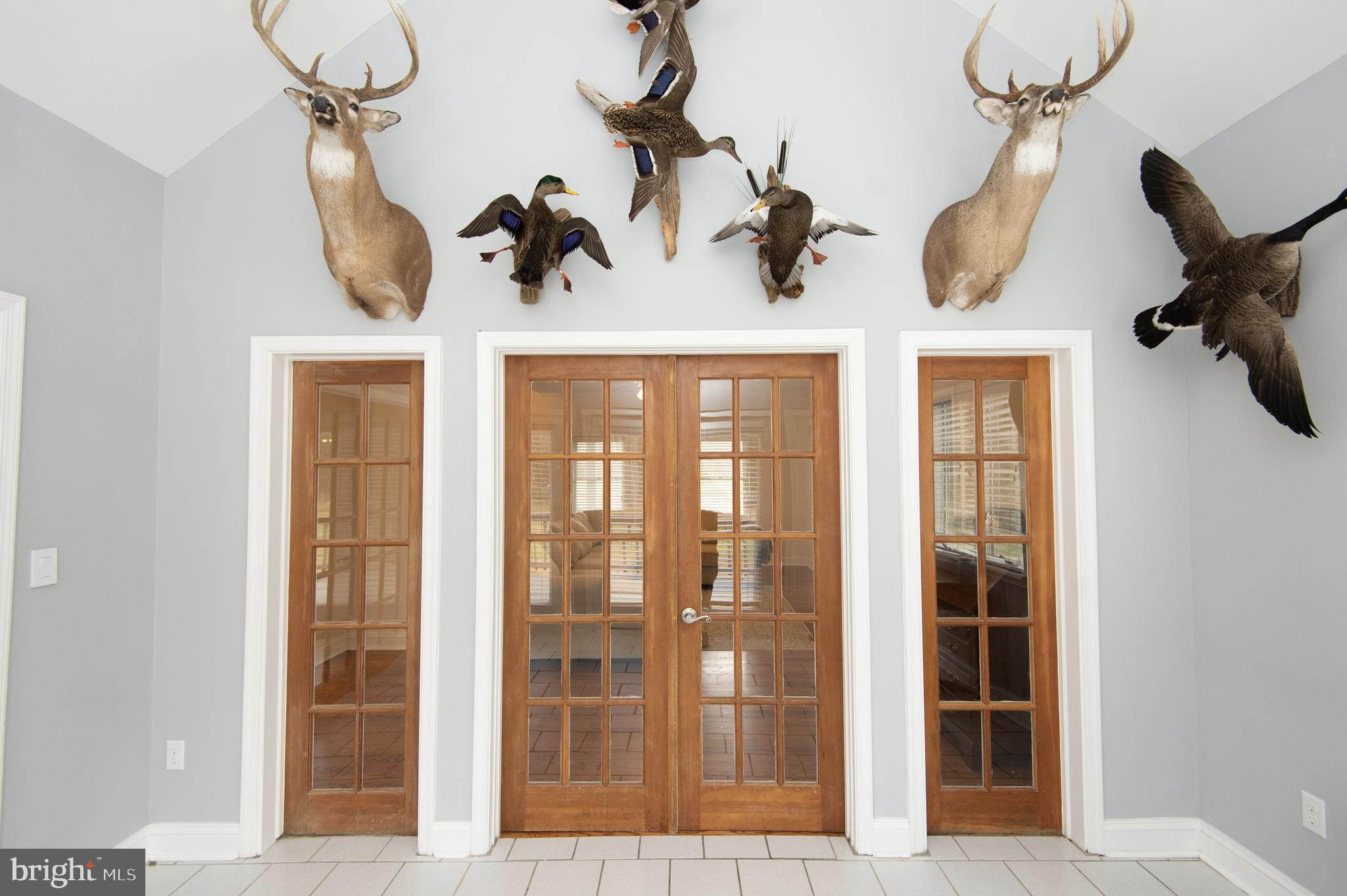5206 Johnson Road Rhodesdale, MD 21659 - Photo 32 of 91 Gallery Image 32