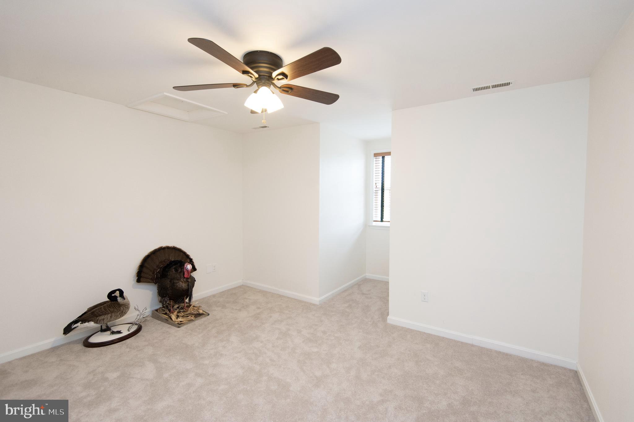 5206 Johnson Road Rhodesdale, MD 21659 - Photo 53 of 91 Gallery Image 53
