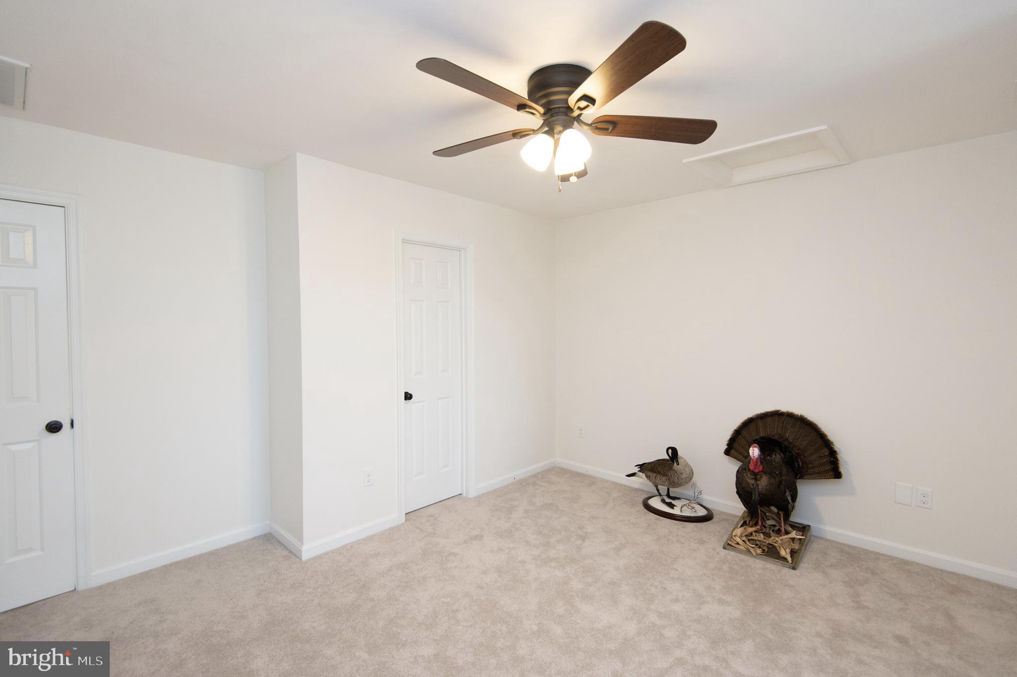5206 Johnson Road Rhodesdale, MD 21659 - Photo 54 of 91 Gallery Image 54