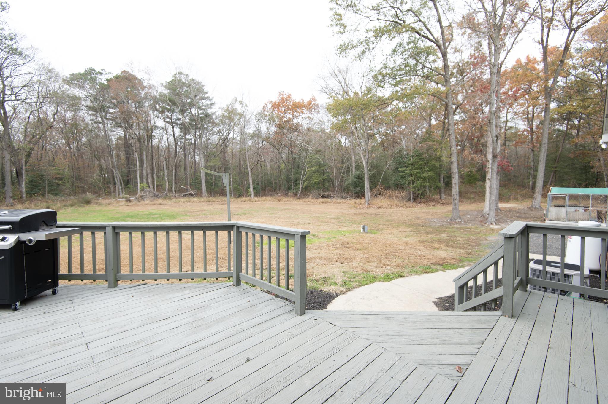 5206 Johnson Road Rhodesdale, MD 21659 - Photo 75 of 91 Gallery Image 75