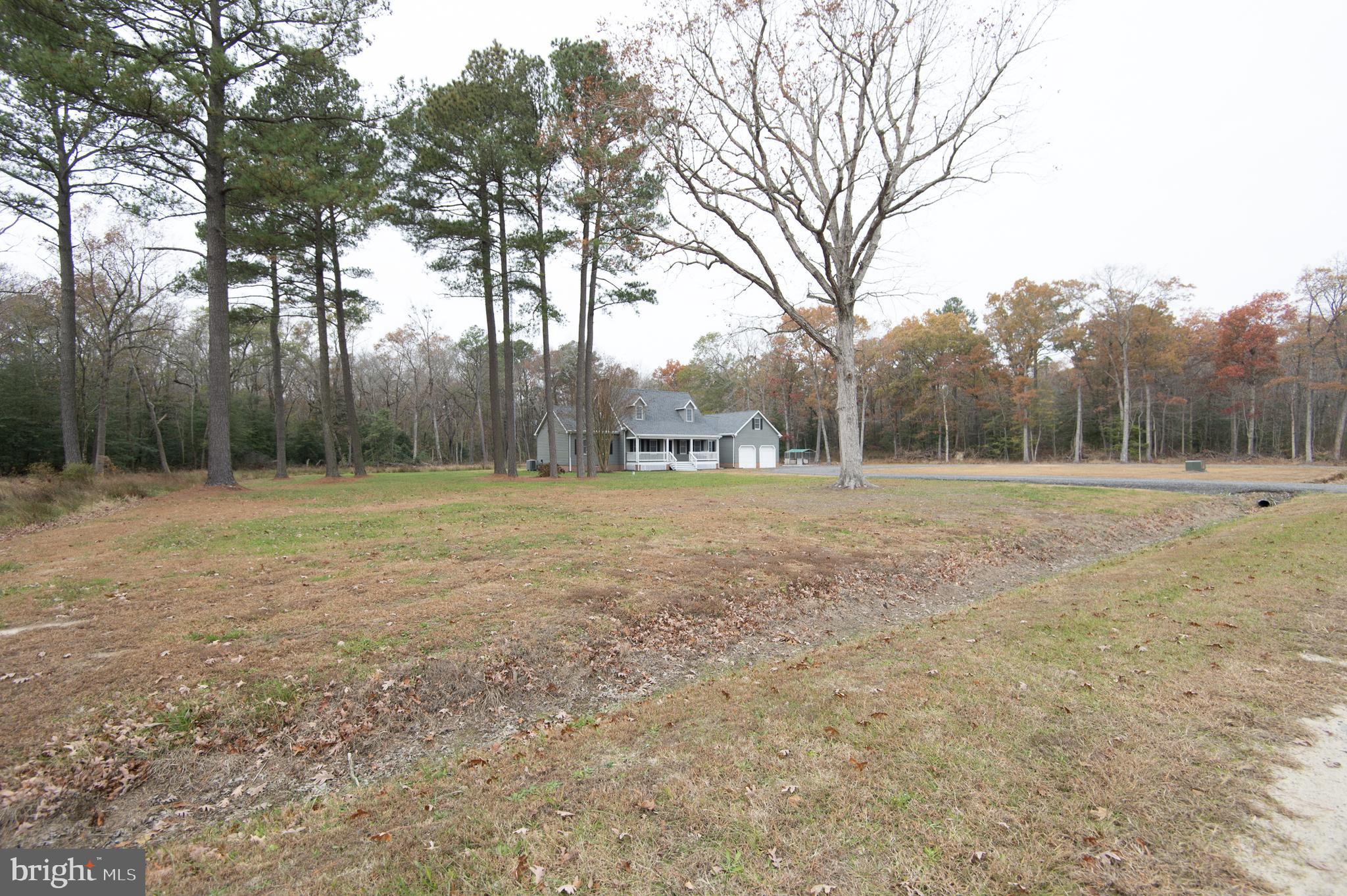 5206 Johnson Road Rhodesdale, MD 21659 - Photo 84 of 91 Gallery Image 84