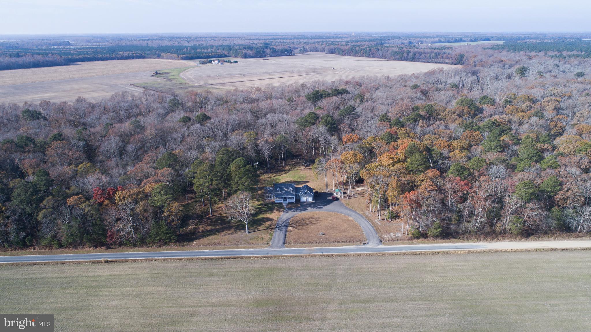 5206 Johnson Road Rhodesdale, MD 21659 - Photo 85 of 91 Gallery Image 85