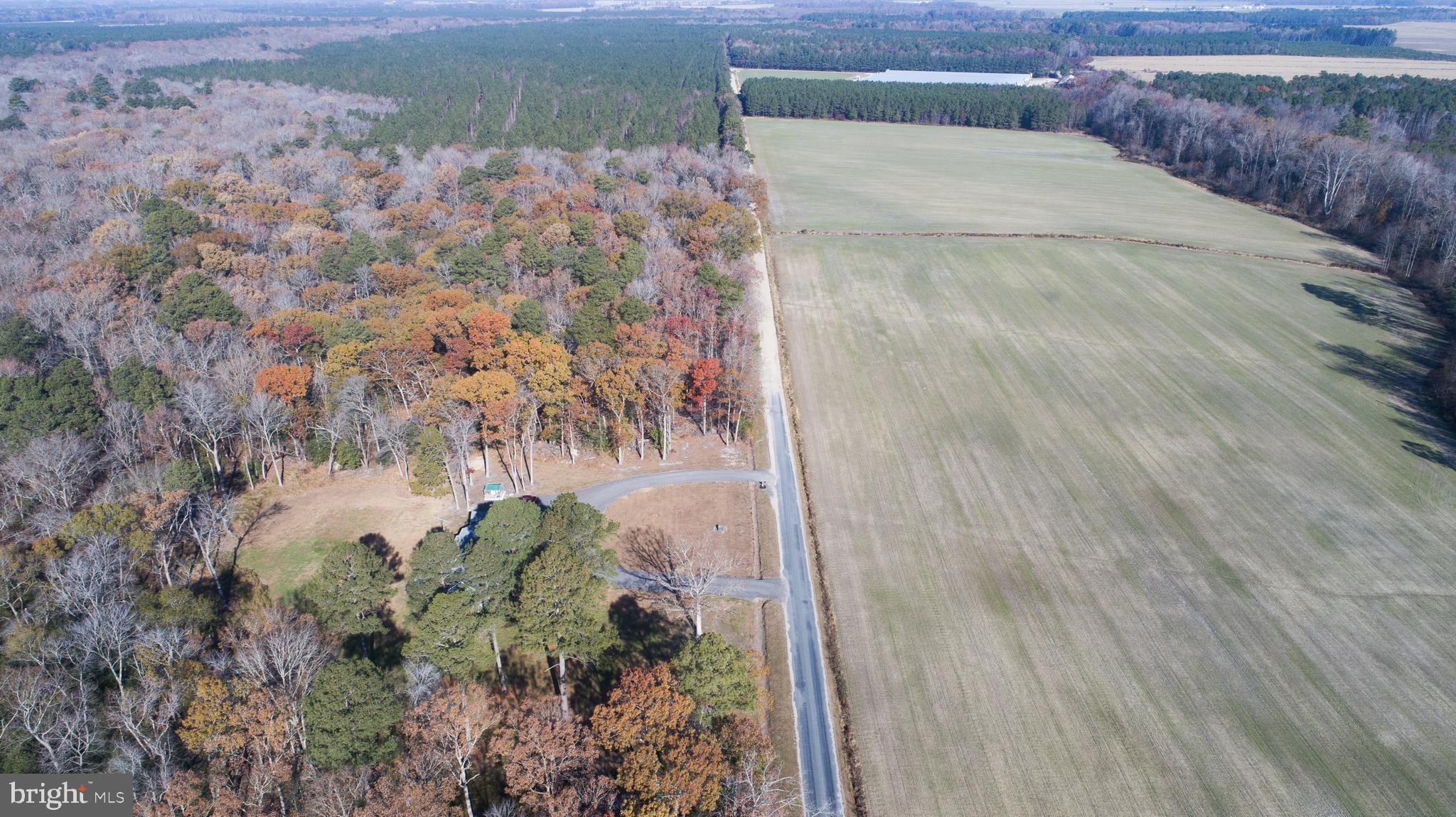 5206 Johnson Road Rhodesdale, MD 21659 - Photo 86 of 91 Gallery Image 86