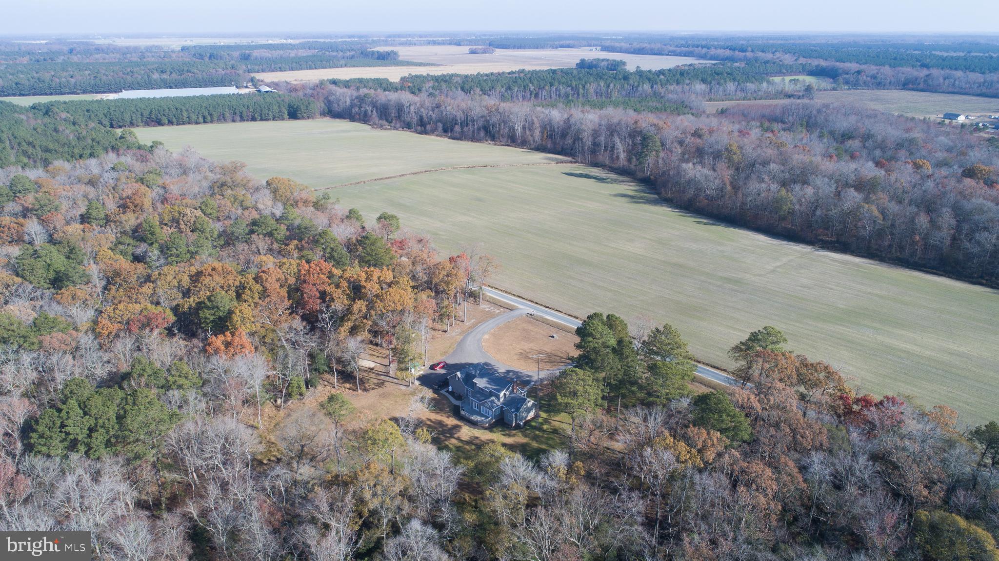 5206 Johnson Road Rhodesdale, MD 21659 - Photo 91 of 91 Gallery Image 91