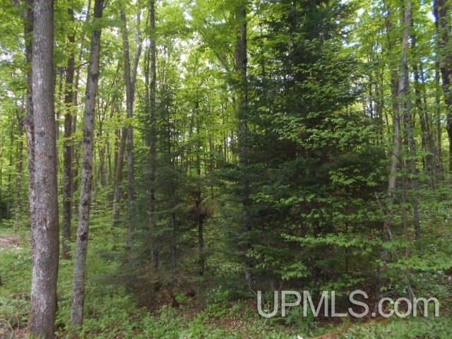 Tbd Palmquist Road Florence, WI 54120 - Photo 3 of 5