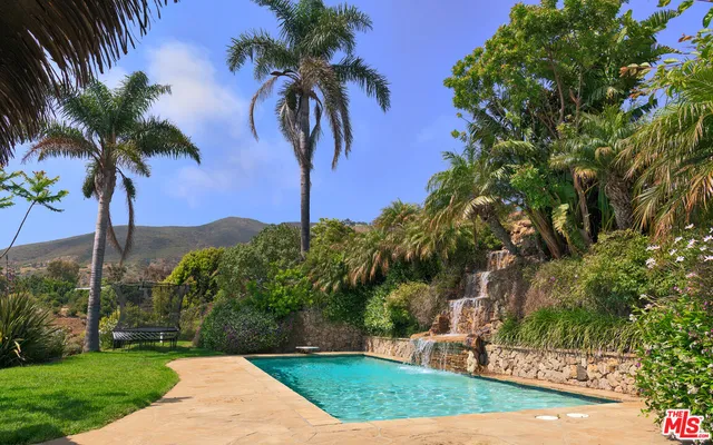 a view of a yard with palm trees